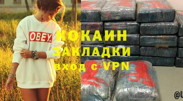 соль ск Алзамай