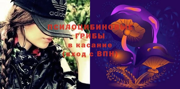 соль ск Алзамай