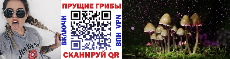 Галлюциногенные грибы Magic Shrooms  Красноуфимск 